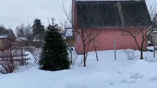 Сажаю томаты / Уважайте себя ! / Появившиеся внезапно комментарии 8-10 марта 2022 г. смотреть онлайн