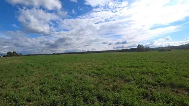 НАШЛИ монету,которой 700 лет!!! смотреть онлайн