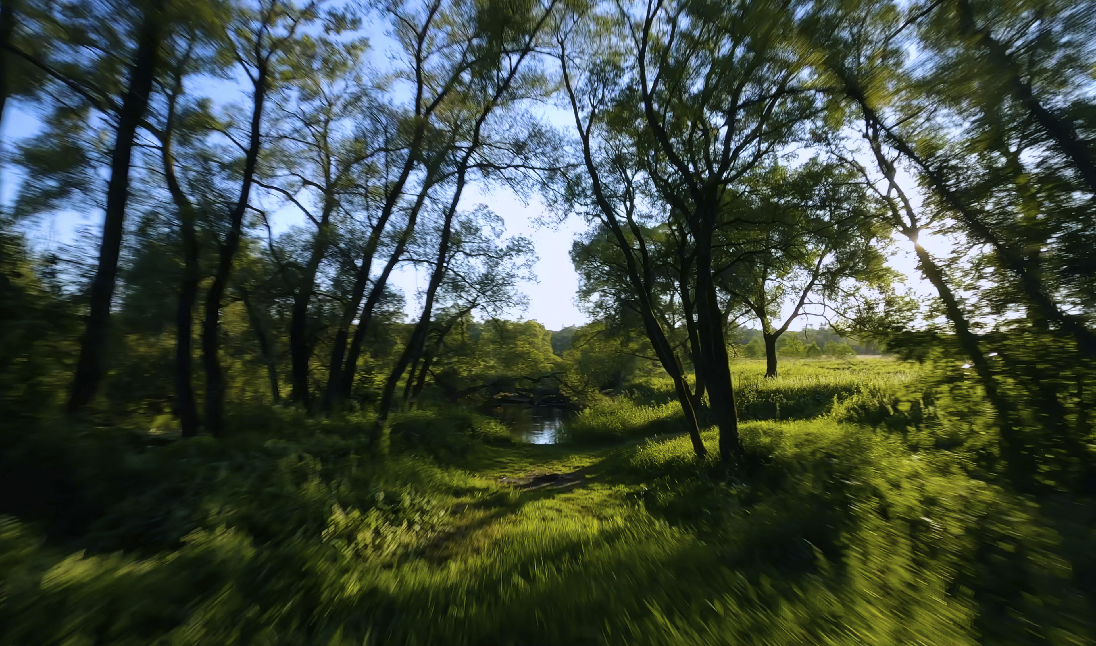 Любимое место предков смотреть онлайн