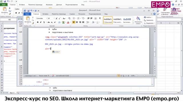 Урок 8. Оптимизация картинок. Курс по раскрутке сайтов (Школа интернет-маркетинга EMPO) смотреть онлайн