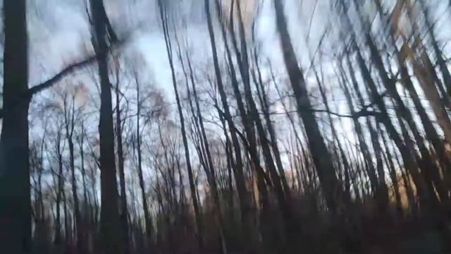 Произвольный маршрут на электросамокате (Отдыхаю в лесу) смотреть онлайн