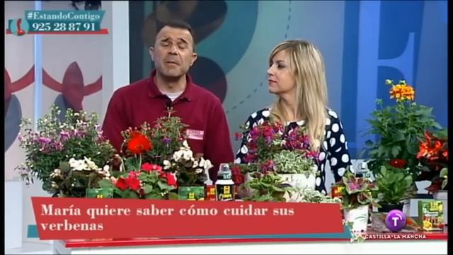 ¿Qué plantas tienen que estar en la sombra? смотреть онлайн