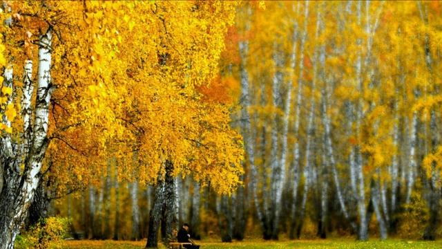 Гармония Триединства. О вашем отношении к собственному здоровью.