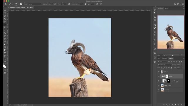 Hybrid Animals #1 - The Bighorn Hawk (Unsolicited Photoshop) смотреть онлайн