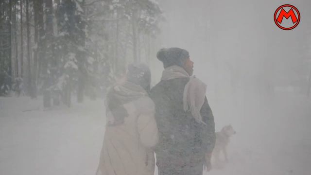 Почему птицы улетают в дальние края? - Рубрика Теперь ты знаешь ! Видео вопросы и ответы для детей смотреть онлайн