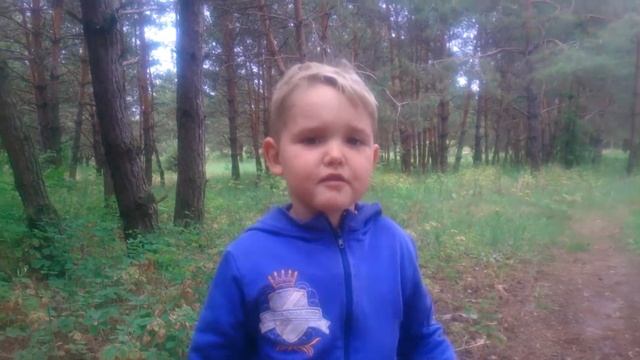 Весенняя гроза. Федор Тютчев. В исполнении Нестора Нижейко. 4 года. смотреть онлайн