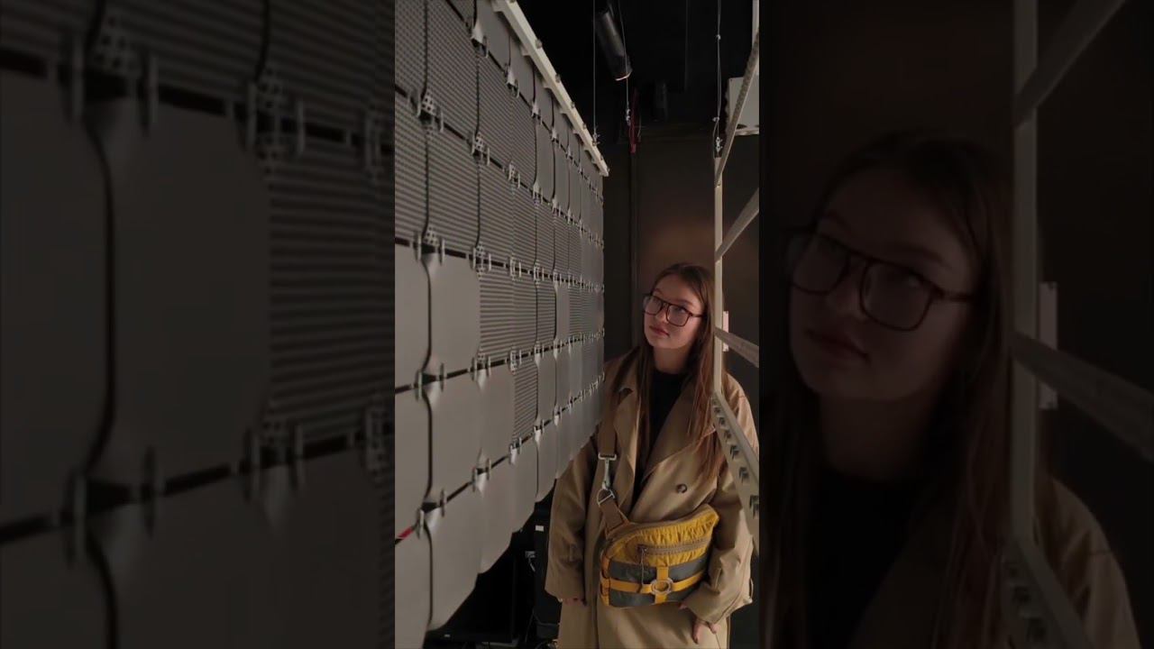 Друзья, напоминаем вам о возможности посетить выставки галерей Объединения по Пушкинской карте. смотреть онлайн