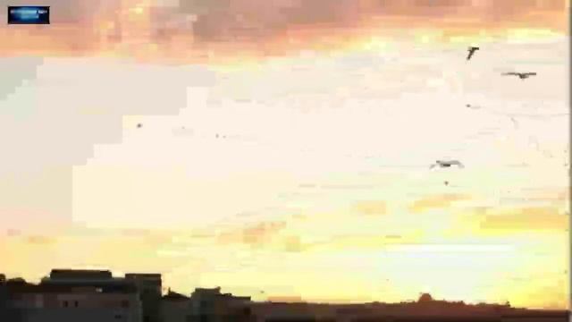 Хадис Байхаки смотреть онлайн