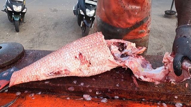 HUGE RED EMPEROR FISH | FISH CUTTING SKILL | රත්දල්ලා смотреть онлайн