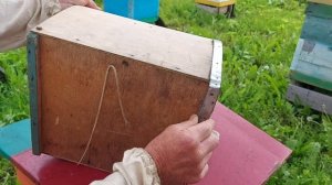 Пчеловодство №127 Как сделать роевню своими руками?