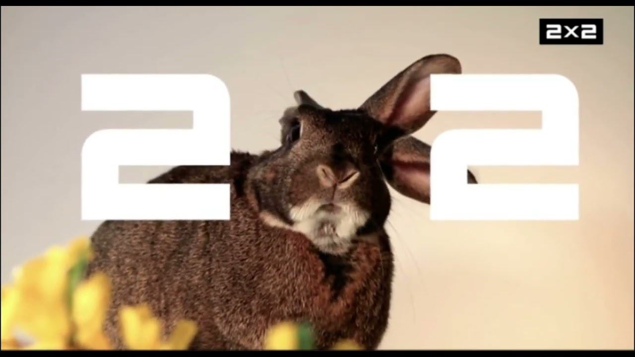 Рестарт эфира и смена логотипа | 2х2 [+7]. 01.10.23 смотреть онлайн