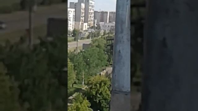 Стрижи в городе смотреть онлайн