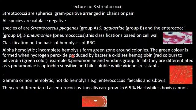 Streptococcus part 1 lecture no 3 смотреть онлайн