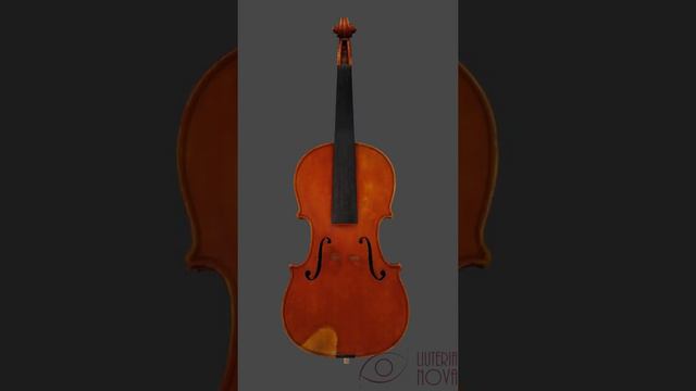 Violino Fagnola, 1906 3D Model смотреть онлайн