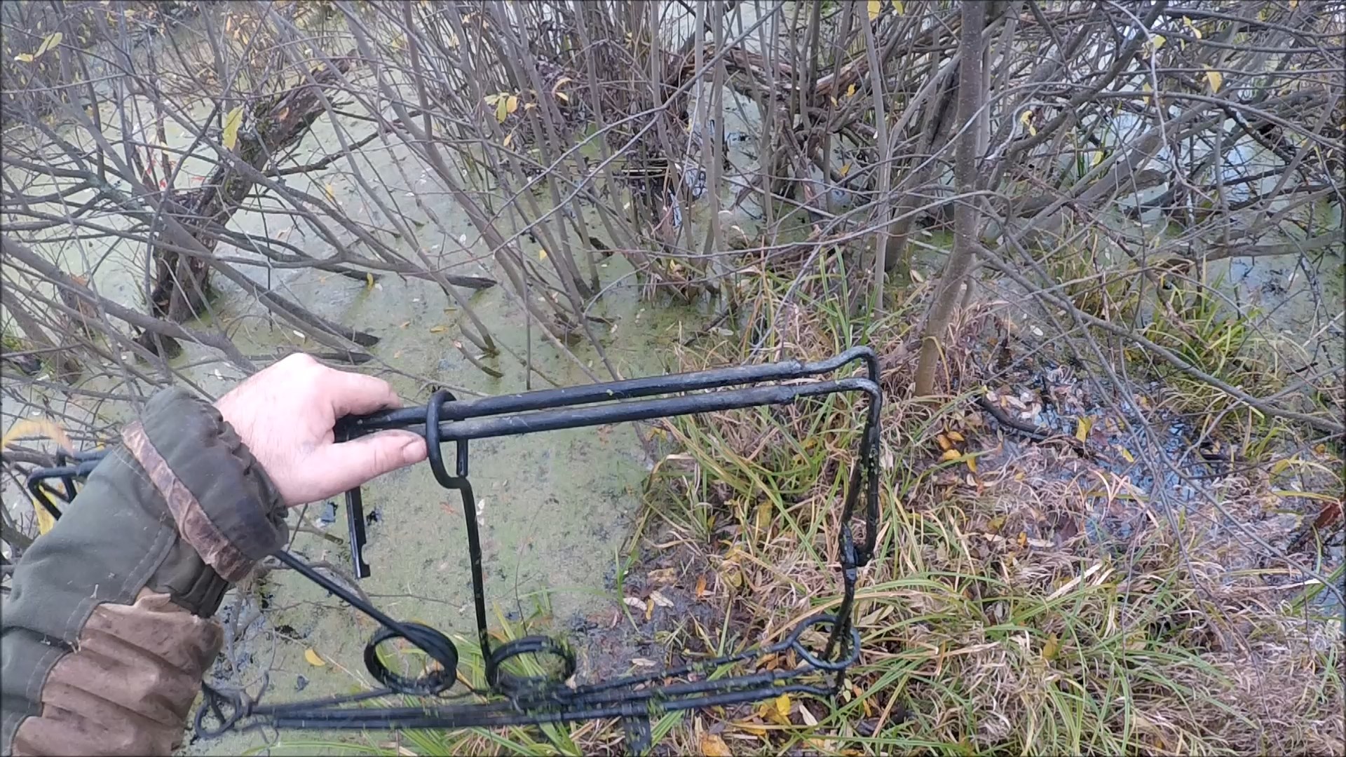 Охота на бобра с капканом КП 600х320 (Будни охотника и рыбака) смотреть онлайн