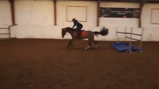 Nørlunds Stratego (training Session)