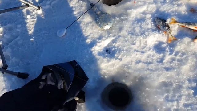 Рыбалка на оз Синеглазово 12 12 20 смотреть онлайн