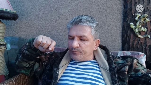 Что нужно считать, чтобы понять? Нумерология должна быть полезной. смотреть онлайн
