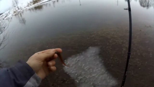 Ловля щуки на спиннинг| Сколько щуки в этой яме ?!! | Зимний спиннинг, джиг смотреть онлайн