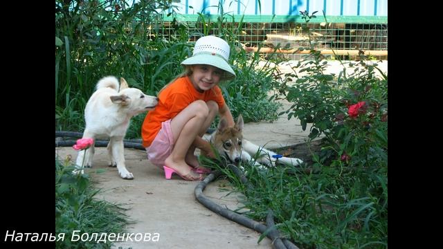 История из жизни. смотреть онлайн