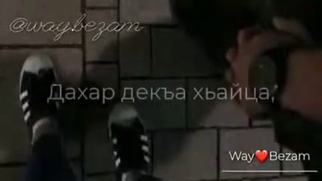 Терго эш хьила жимчу дега са❤ смотреть онлайн