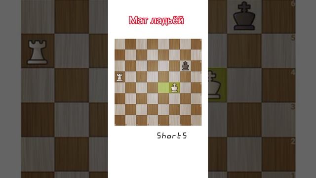 Как поставить мат ладьёй. Как выиграть в шахматы? #shorts смотреть онлайн