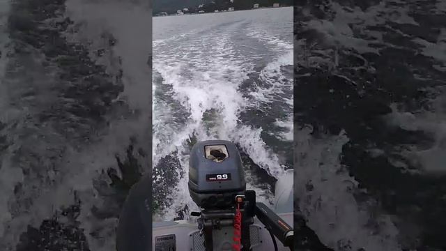 Лодка MERCURY 310 под мотором YAMAHA 9.9л.с. смотреть онлайн