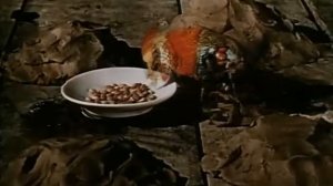 Ян Шванкмайер - Тихая неделя в доме (1969)