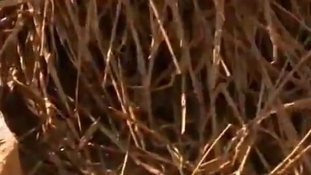‪Утепление каркасного дома легким саманом смотреть онлайн