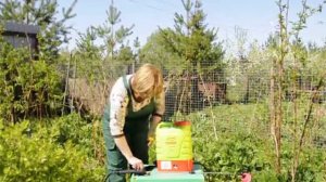 Аккумуляторный опрыскиватель «Умница» ОЭ-10л-Н