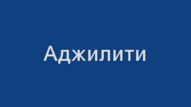 Что могут бельгийские овчарки? -1 смотреть онлайн