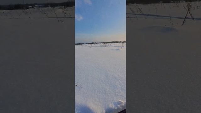 Самое то ехать до магазина! смотреть онлайн