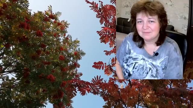 Стрим 14 ноября: рейдерский захват Сказки в Домодедово смотреть онлайн