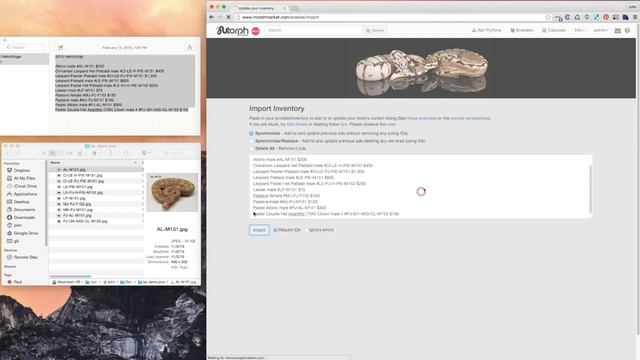 Seller Tutorials: Bulk Import Overview смотреть онлайн