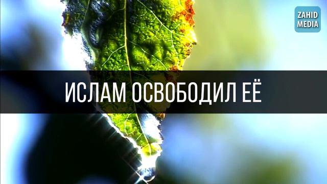 Она ходила полураздетой, но Ислам изменил её | Муфтий Менк смотреть онлайн