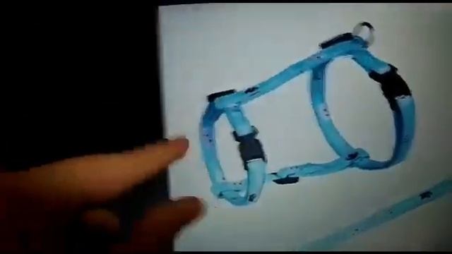 Шлейка или поводок для шпица? Что выбрать? смотреть онлайн