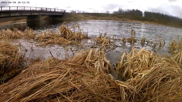 апрельская плотва смотреть онлайн