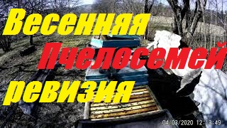Весна на кочевой пасеке в горах Краснодарского края.Итог зимовки пчелосемей. смотреть онлайн