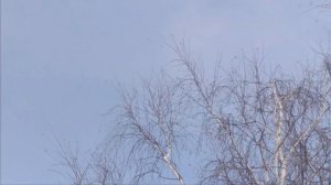 Замена задних фонарей ваз 21099 ремонт