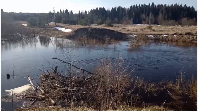 Нелюбино, проезд через мост на дачи Березка. смотреть онлайн