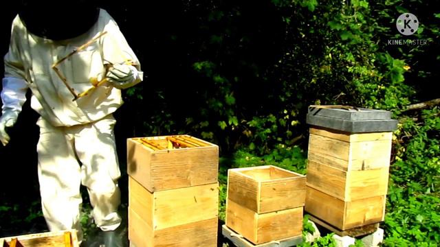 Рамки без вощины - Часть 2 смотреть онлайн