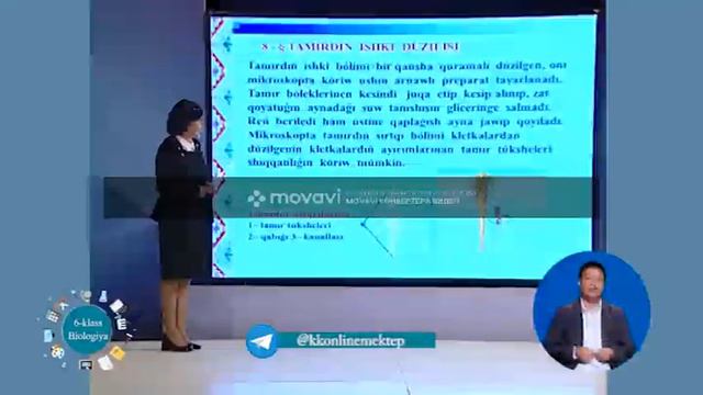6 klass Biologiya Tema Tamırdıń túrleri смотреть онлайн