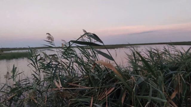 Открытие на утку 2022 смотреть онлайн