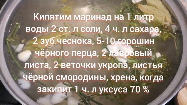 Грибные результаты