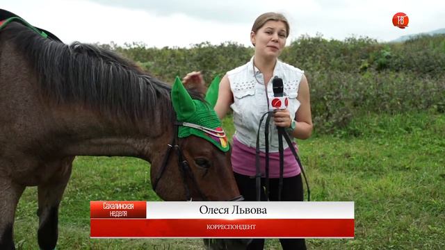 22.08.2016 Закрытие сезона конных состязаний смотреть онлайн
