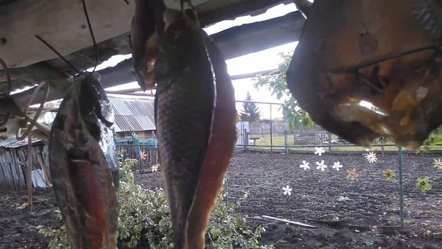 Готовим весело и со вкусом 