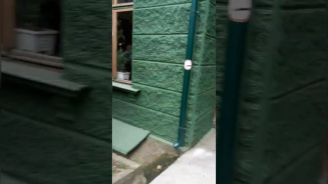 Дача Сталина в г.Сочи смотреть онлайн