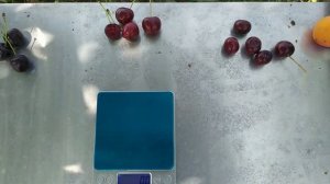 черешня Мелитопольская черная, Стаккато, Свитхарт