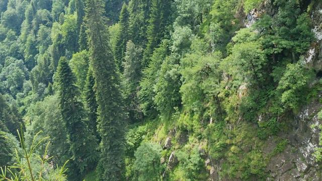 Панорама Роза Пик и окрестности