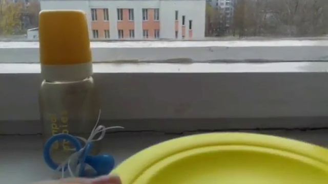 Что нужно для появления Басика в доме?Полезные советы!!! смотреть онлайн